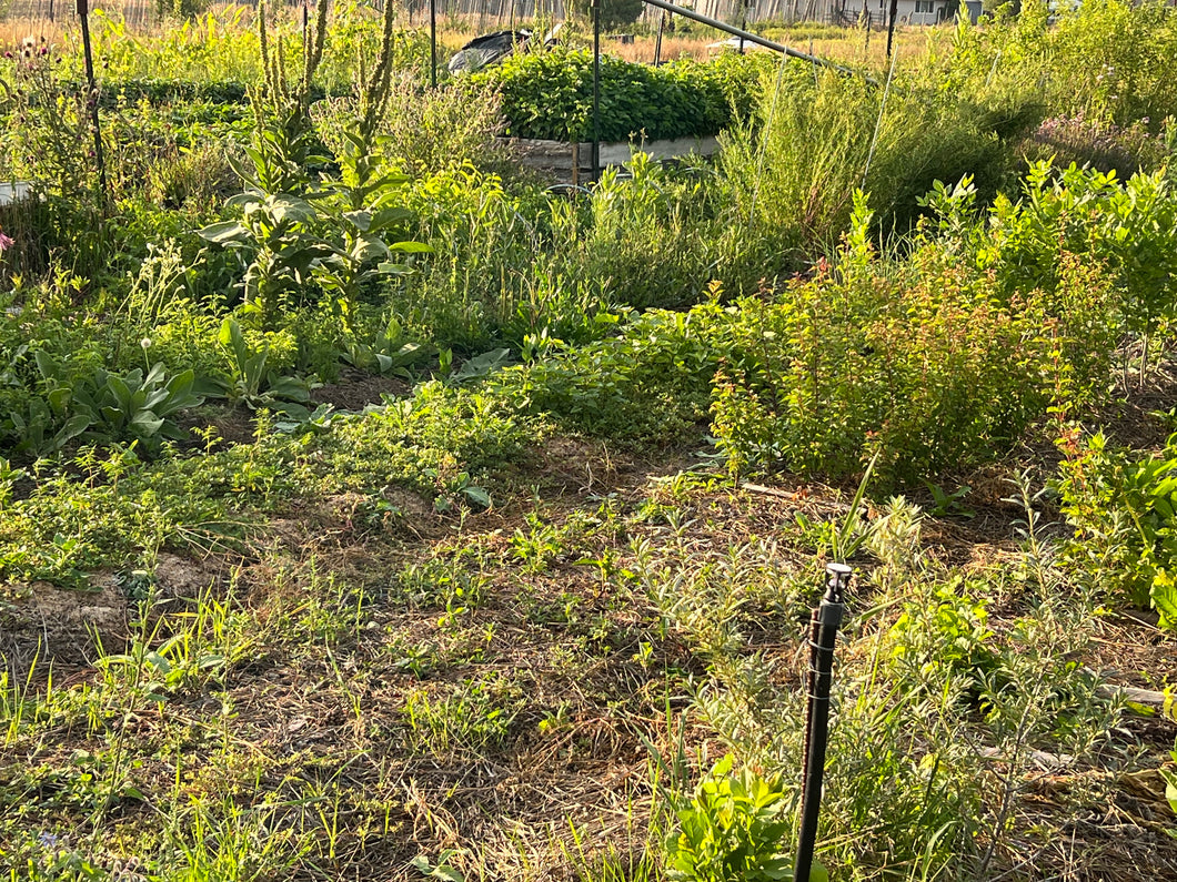 Nursery Tour