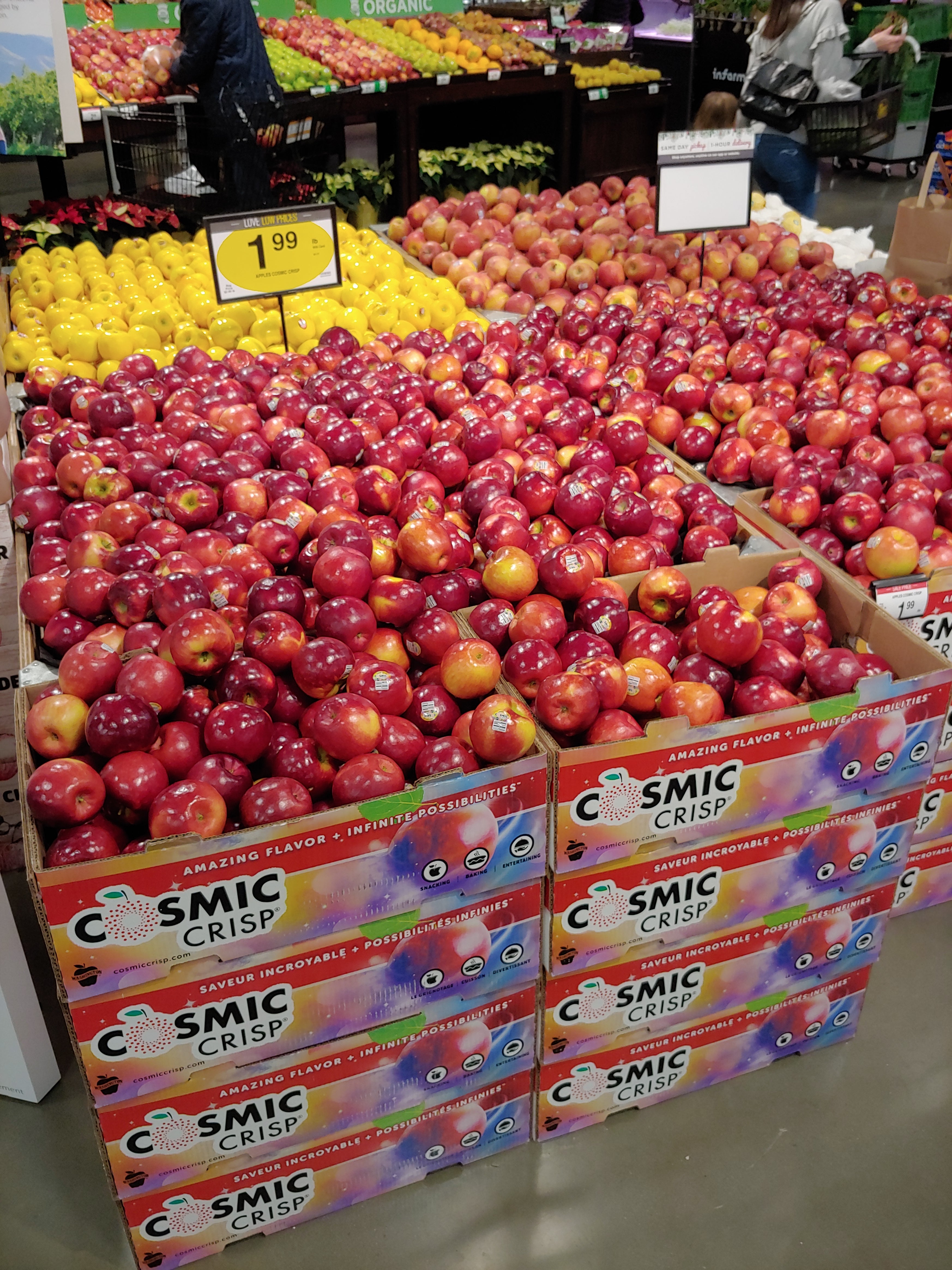 Organic Large Cosmic Crisp Apples, Large/ 1 Count - City Market